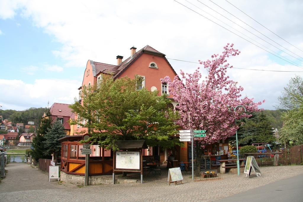 Ferienwohnungen Langer Stadt Wehlen Buitenkant foto